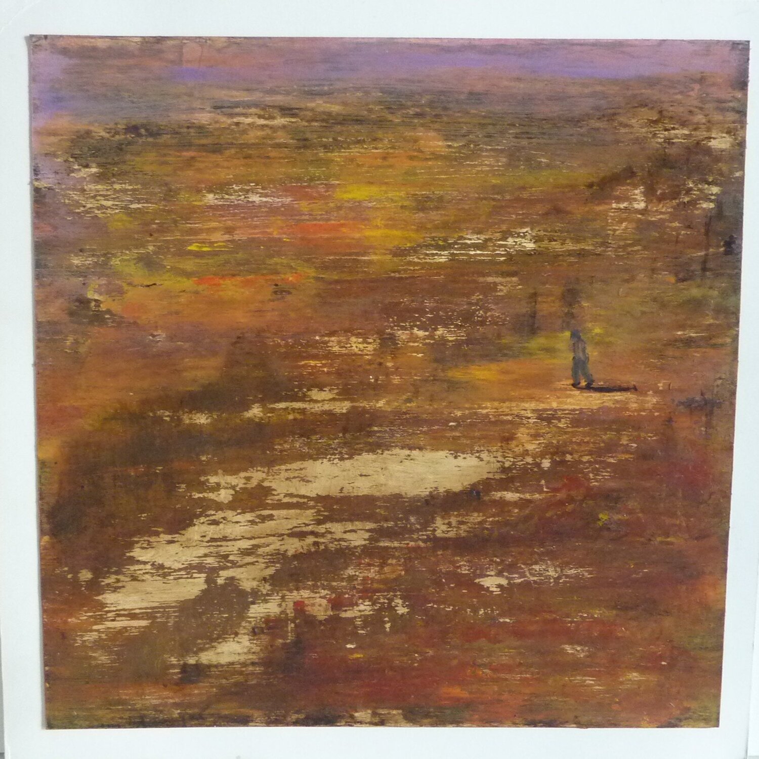LANDSCAPE Marcos Zrihen