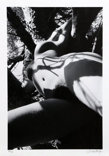 Nude No. 10 von Lucien Clergue, Fotografie kaufen auf Singulart