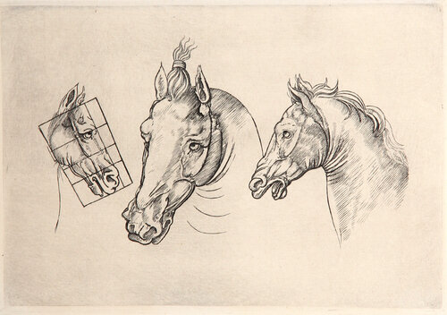Trois Tetes de Chevaux by Leonardo da Vinci, Print for Sale on Singulart