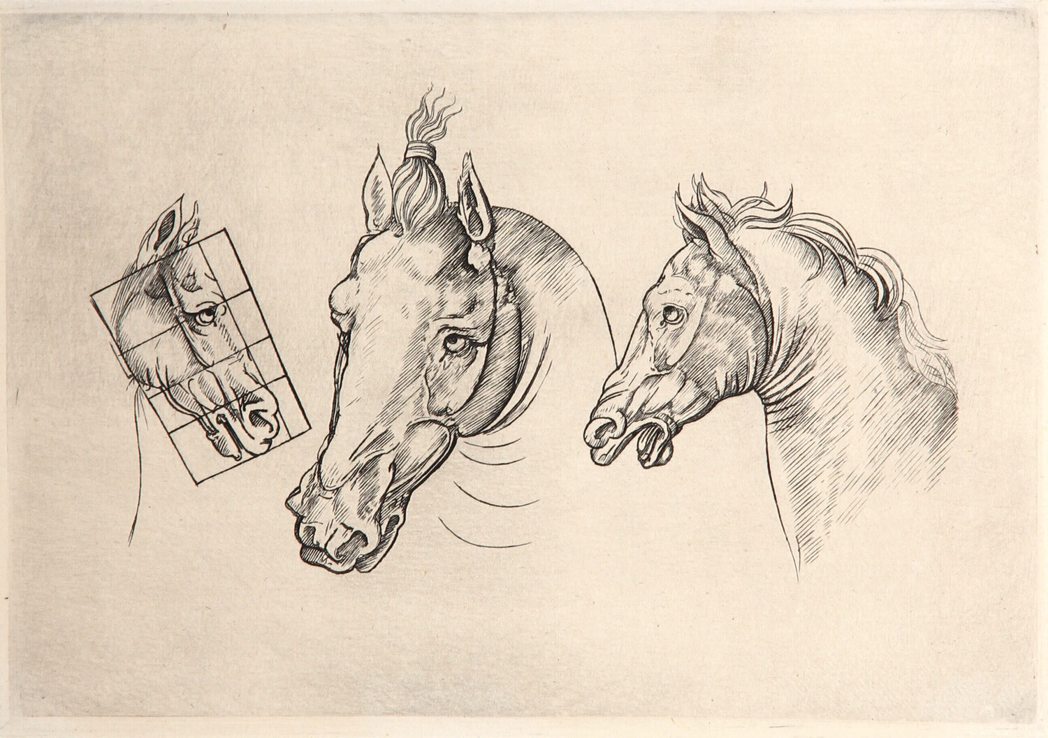 Trois Tetes de Chevaux Leonardo da Vinci