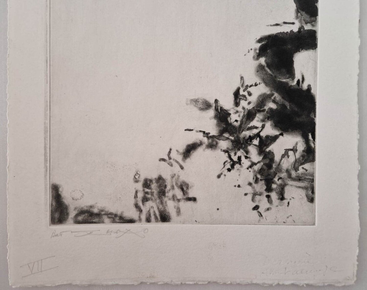 Shakespeare : Mine eye hath played the painter Danhôo