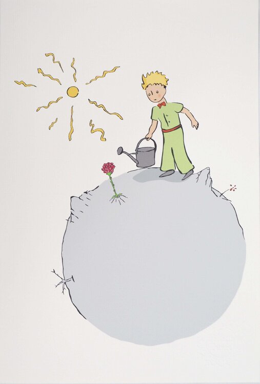 Le Petit Prince arrose sa rose, Lithographie Antoine de Saint-Exupéry