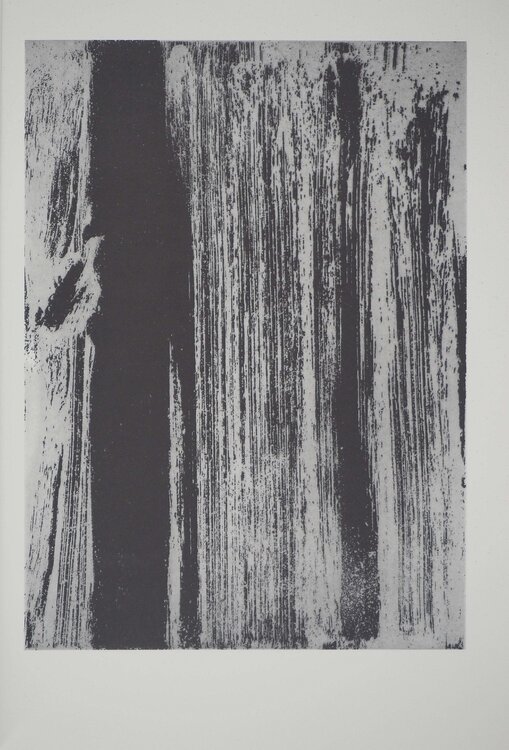 Signe paysage Olivier Debré