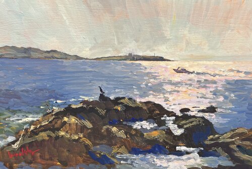 The Cormorant Angie Brooksby-Arcangioli
