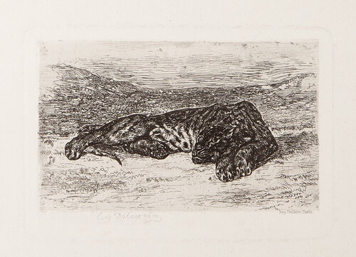 Tiger Sleeping in the Desert by Eugène Delacroix, Print for Sale on Singulart