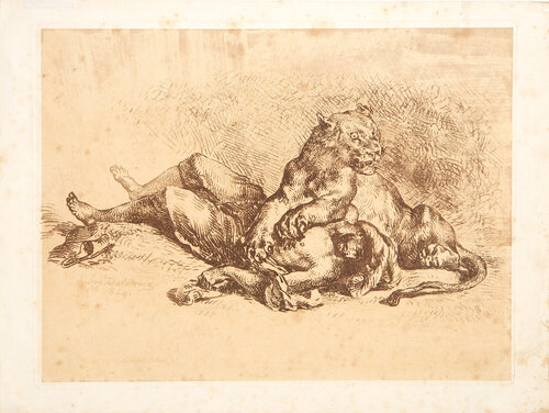 Lionne Dechirant la Poitrine d'un Arabe by Eugène Delacroix, Print for Sale on Singulart