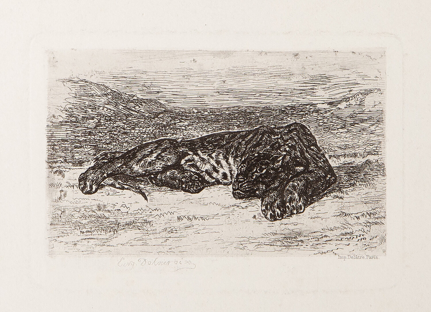 Tiger Sleeping in the Desert Eugène Delacroix Druck zu verkaufen