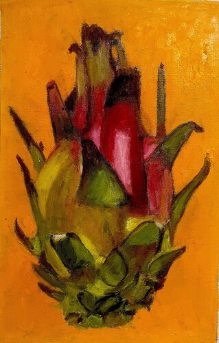 Pitahaya van Pedro Diego Alvarado-Rivera, Schilderij te koop op Singulart