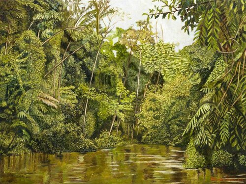 Ribera del Amazonas by Pedro Diego Alvarado-Rivera, Painting for Sale on Singulart