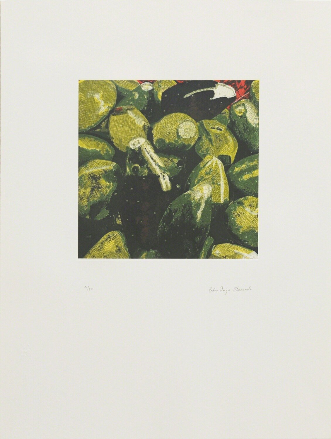 Tunas Pedro Diego Alvarado-Rivera Stampa in vendita