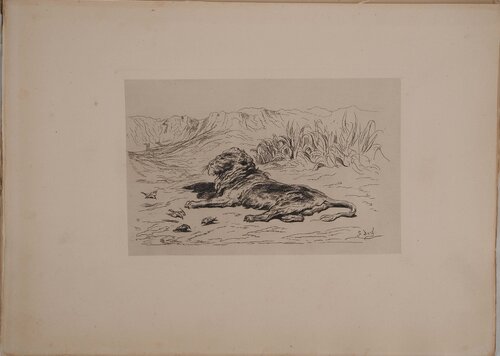 Le Lion by Gustave Doré, Print for Sale on Singulart