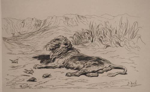 Le Lion by Gustave Doré, Print for Sale on Singulart