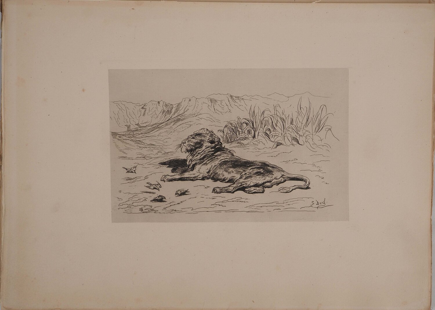 Le Lion Gustave Doré Impresión en venta