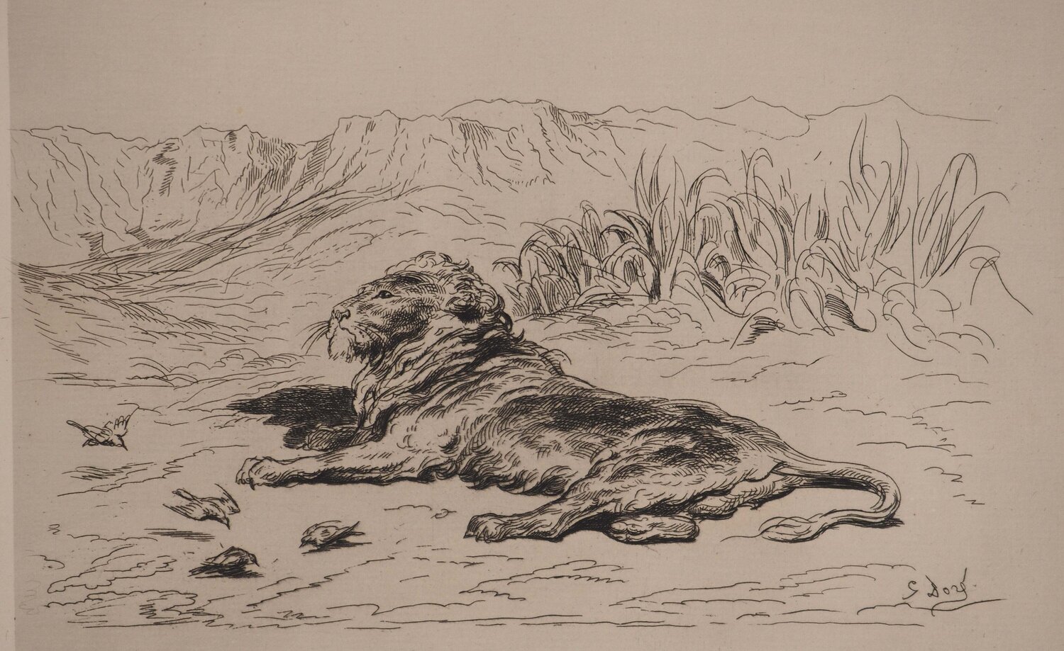 Le Lion Gustave Doré Druck zu verkaufen