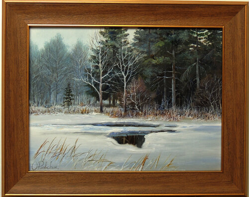 Frozen Lake Oleg Riabchuk