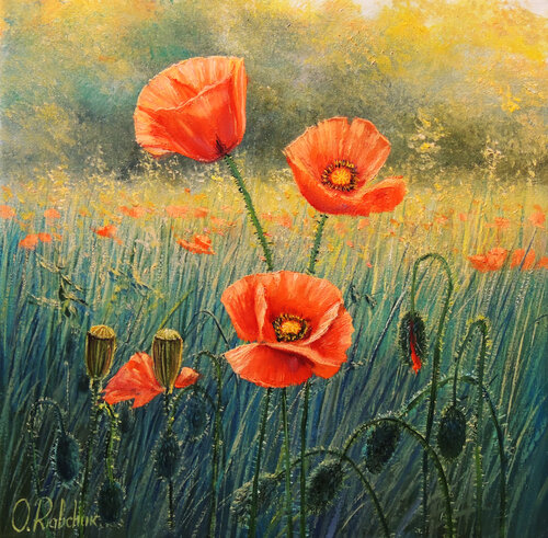 Morning Glory. Poppy Flowers di Oleg Riabchuk, Pittura in vendita su Singulart