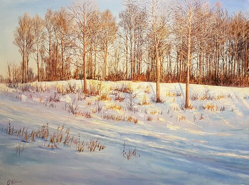 Winter Wonderland van Oleg Riabchuk, Schilderij te koop op Singulart