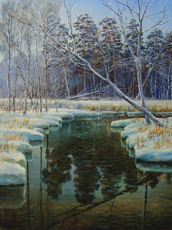 In the Land of Snow Oleg Riabchuk