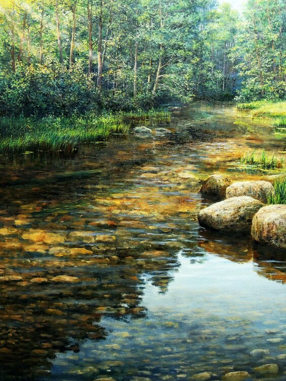 Stones in Water Oleg Riabchuk