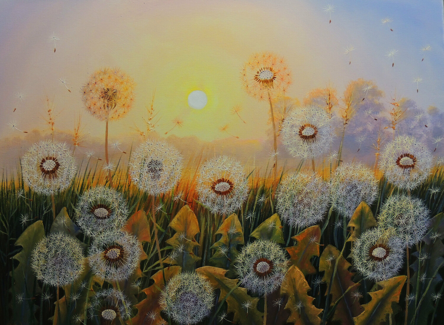 Summer Lullaby Oleg Riabchuk