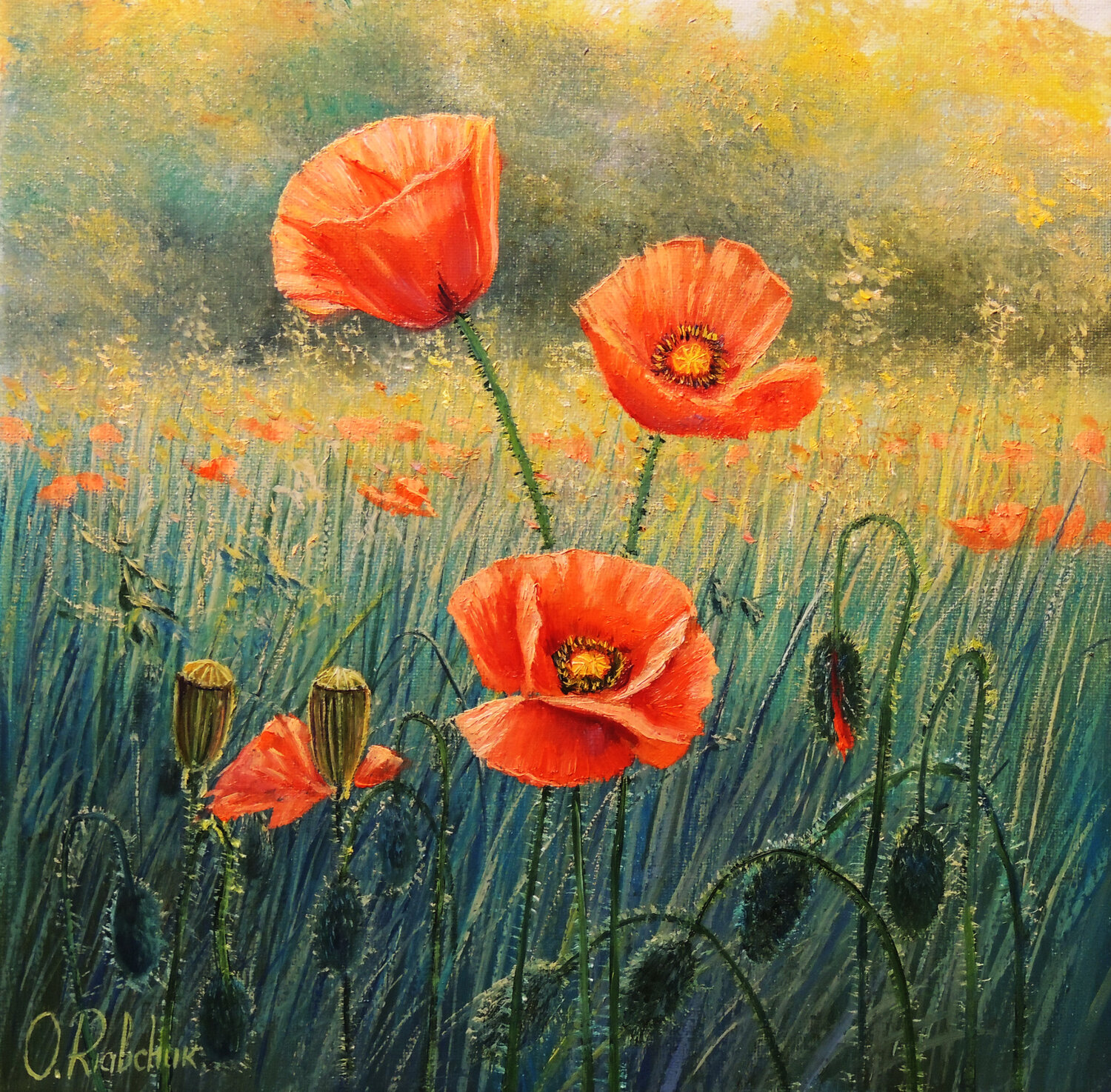Morning Glory. Poppy Flowers Oleg Riabchuk