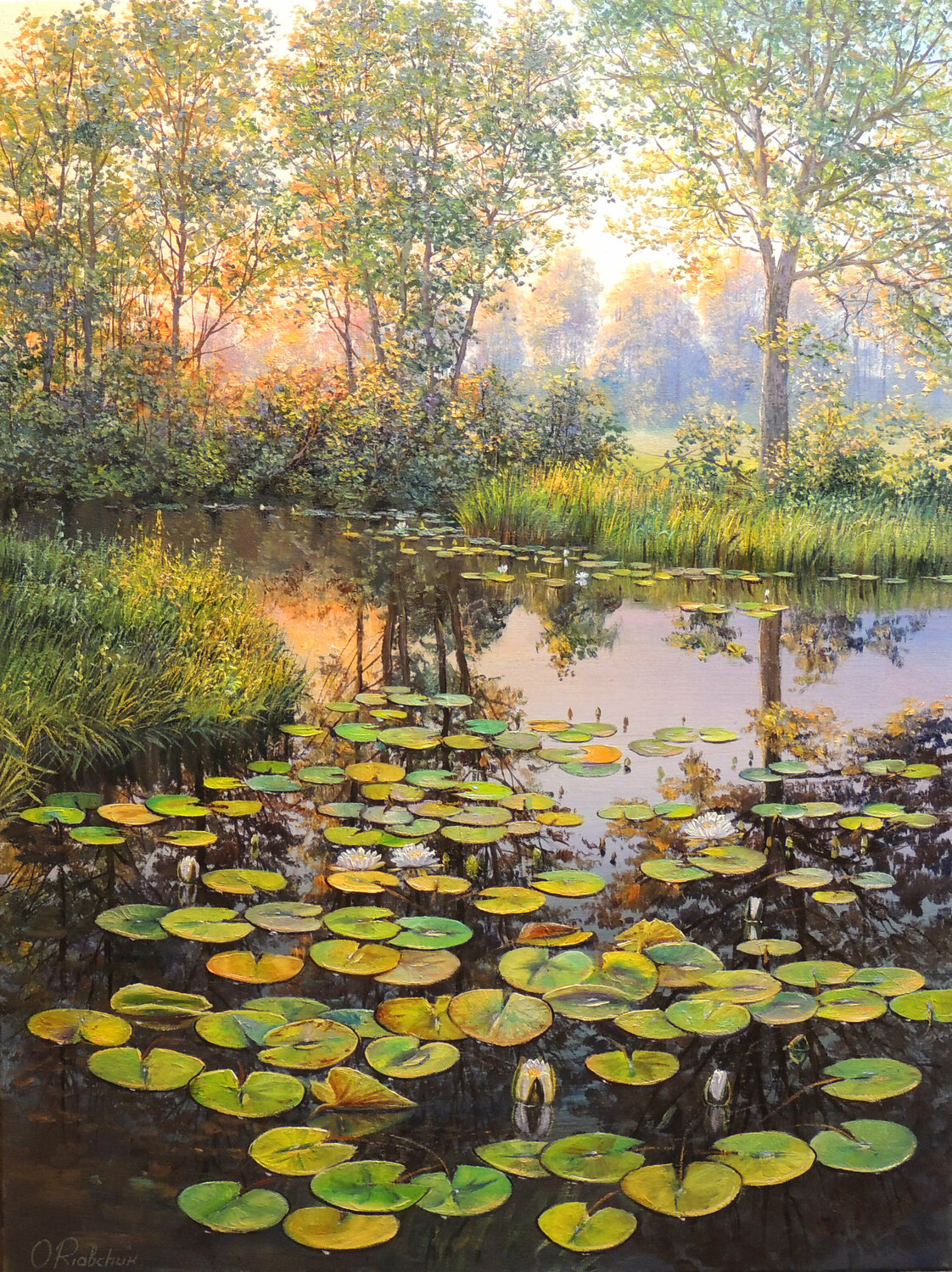 Where The Waterlilies Grow Oleg Riabchuk