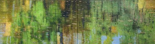 Reflections in the pond (diptych) van Richard Mierniczak, Schilderij te koop op Singulart