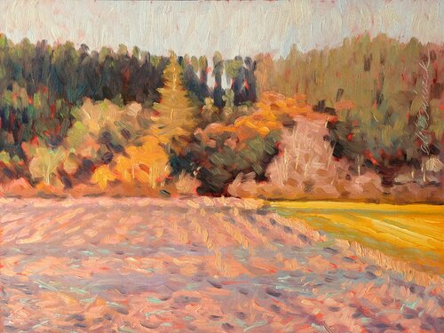 The last rays of sunshine - In the Black Forest 20. van Richard Mierniczak, Schilderij te koop op Singulart