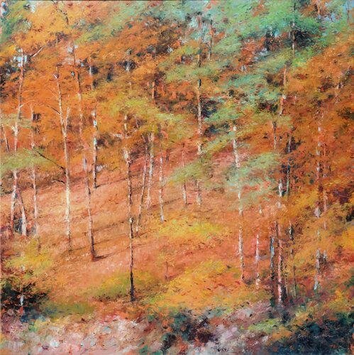 Forest at Baerensee 2. Richard Mierniczak