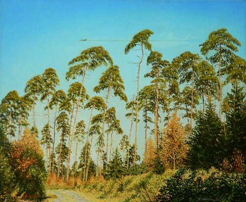 Landscape with the jet fighter van Richard Mierniczak, Schilderij te koop op Singulart
