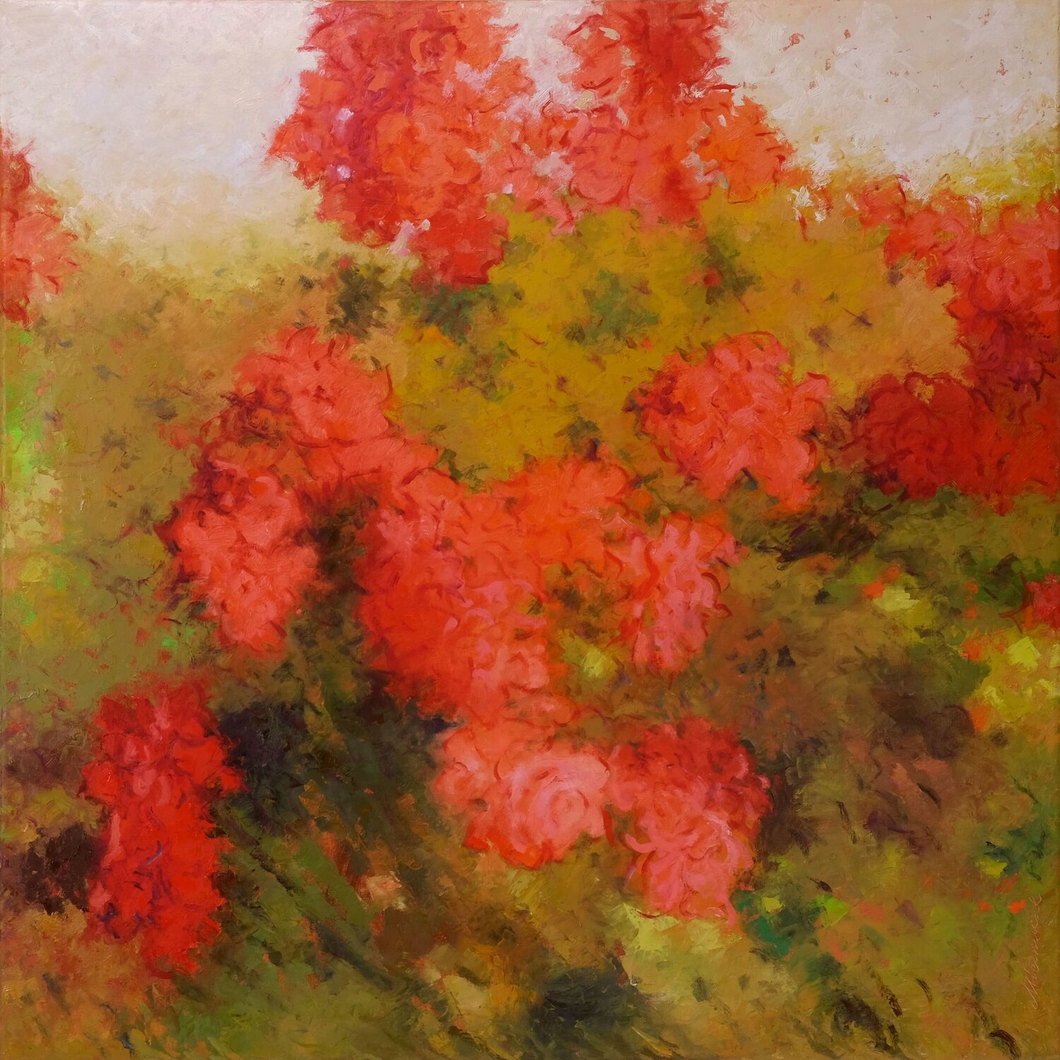 Rosebush 1. Richard Mierniczak