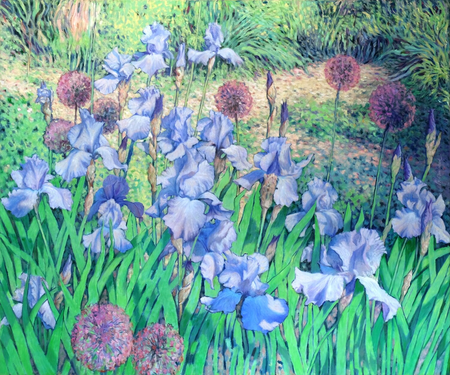 Irises danzing in the sun Richard Mierniczak