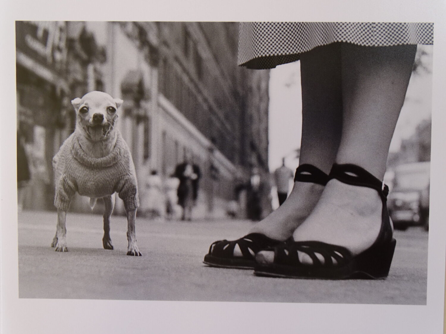 Elliott Erwitt UNSEEN サイン入り Elliott Erwitt UNSEEN サイン入り - メルカリ