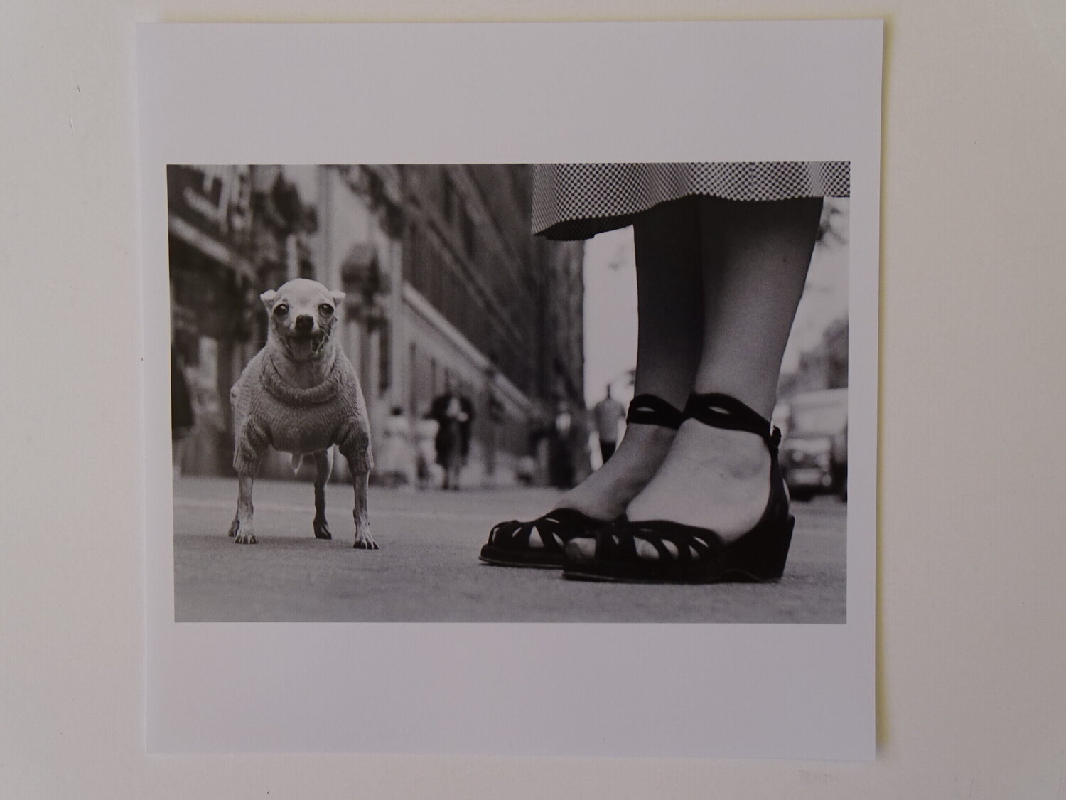New York by Elliott Erwitt (N.D) : Photography Analogue