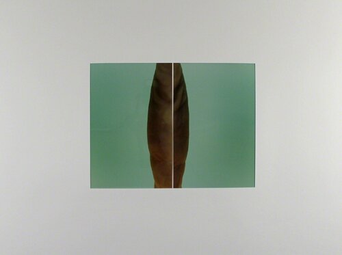 Diptychon # 31 by Thomas Florschuetz, Photography for Sale on Singulart