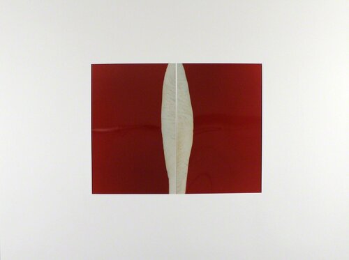 Diptychon # 33 by Thomas Florschuetz, Photography for Sale on Singulart