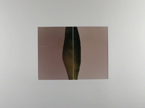 Diptychon # 32 by Thomas Florschuetz, Photography for Sale on Singulart