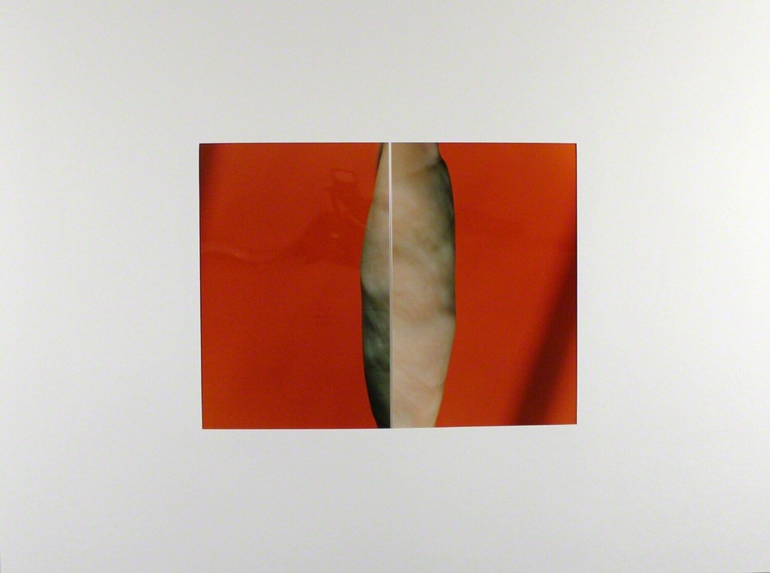 Diptychon # 34 Thomas Florschuetz Fotografia in vendita