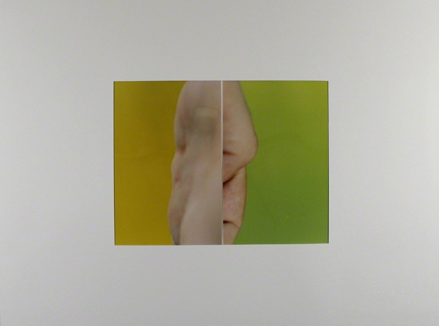 Diptychon # 35 Thomas Florschuetz Fotografia in vendita