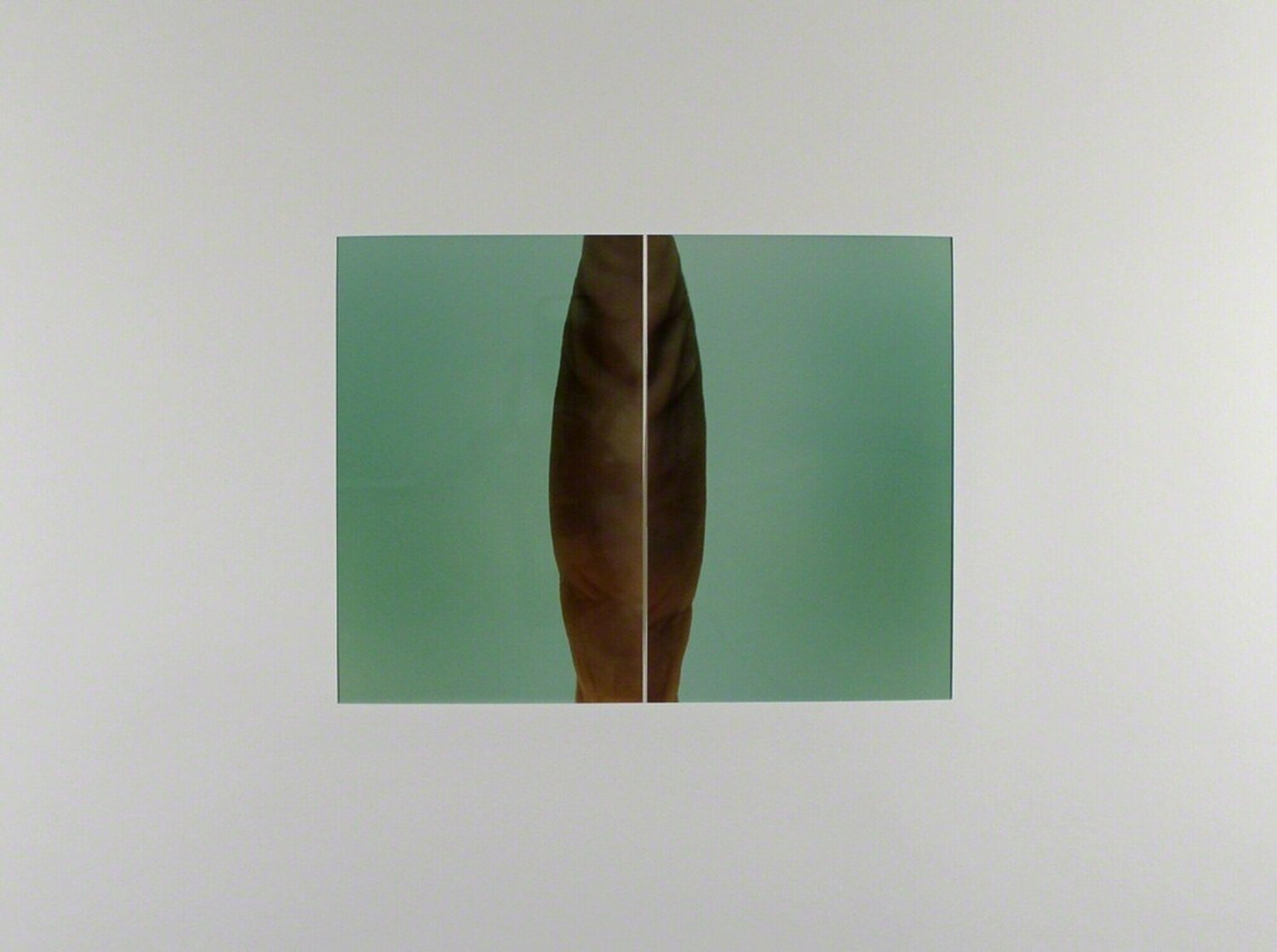 Diptychon # 31 Thomas Florschuetz Fotografie zu verkaufen