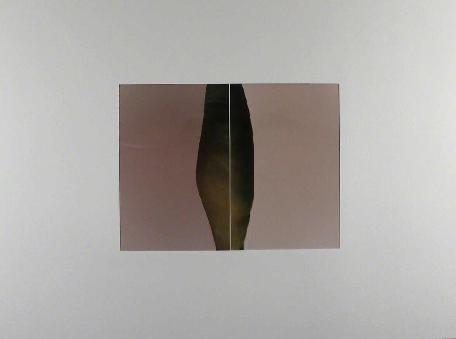 Diptychon # 32 Thomas Florschuetz Fotografie zu verkaufen