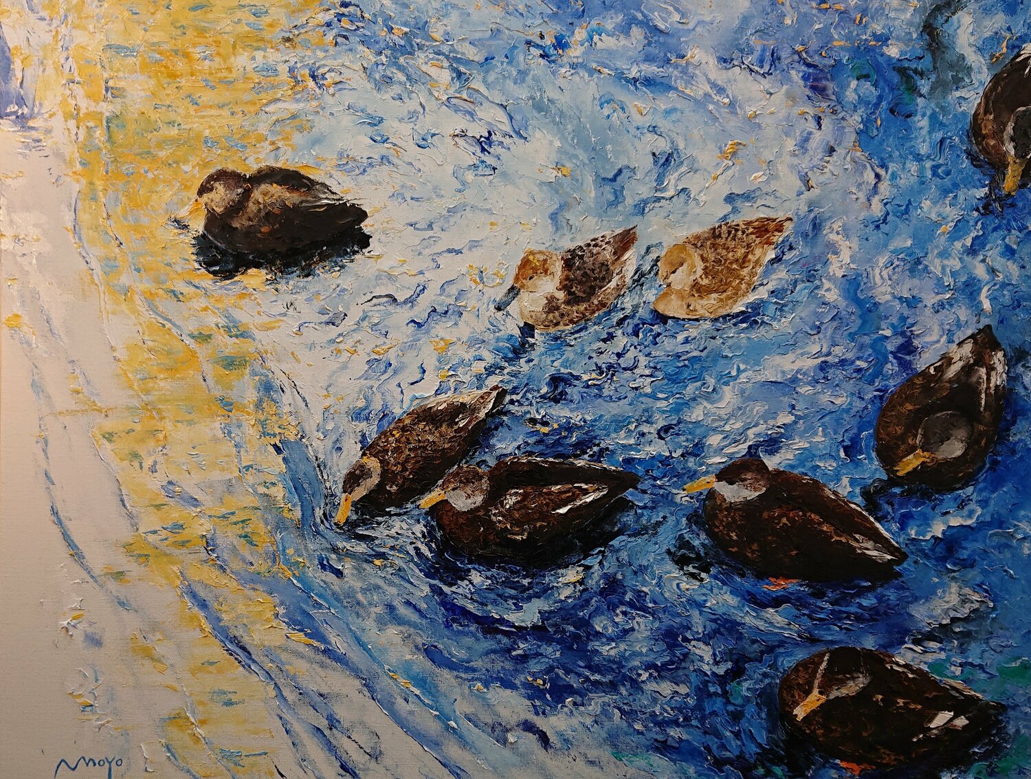 Promenade de canards Moyo