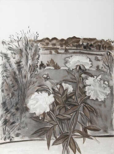 Peonies (Black and White) by Jane Freilicher, Print for Sale on Singulart