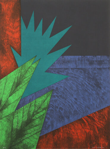 Tropics par Sonia Gechtoff, Édition en vente sur Singulart