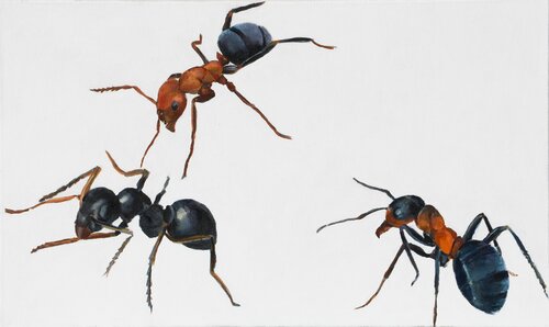 Keep distance Luciana Mathioudakis