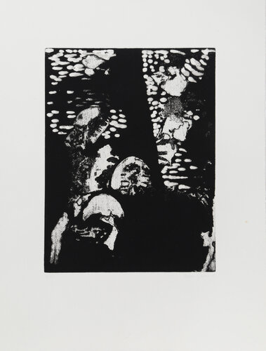 Ascent par Stephen Greene, Édition en vente sur Singulart