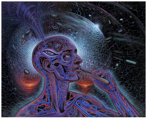 Bicycle Day van Alex Grey, Schilderij te koop op Singulart
