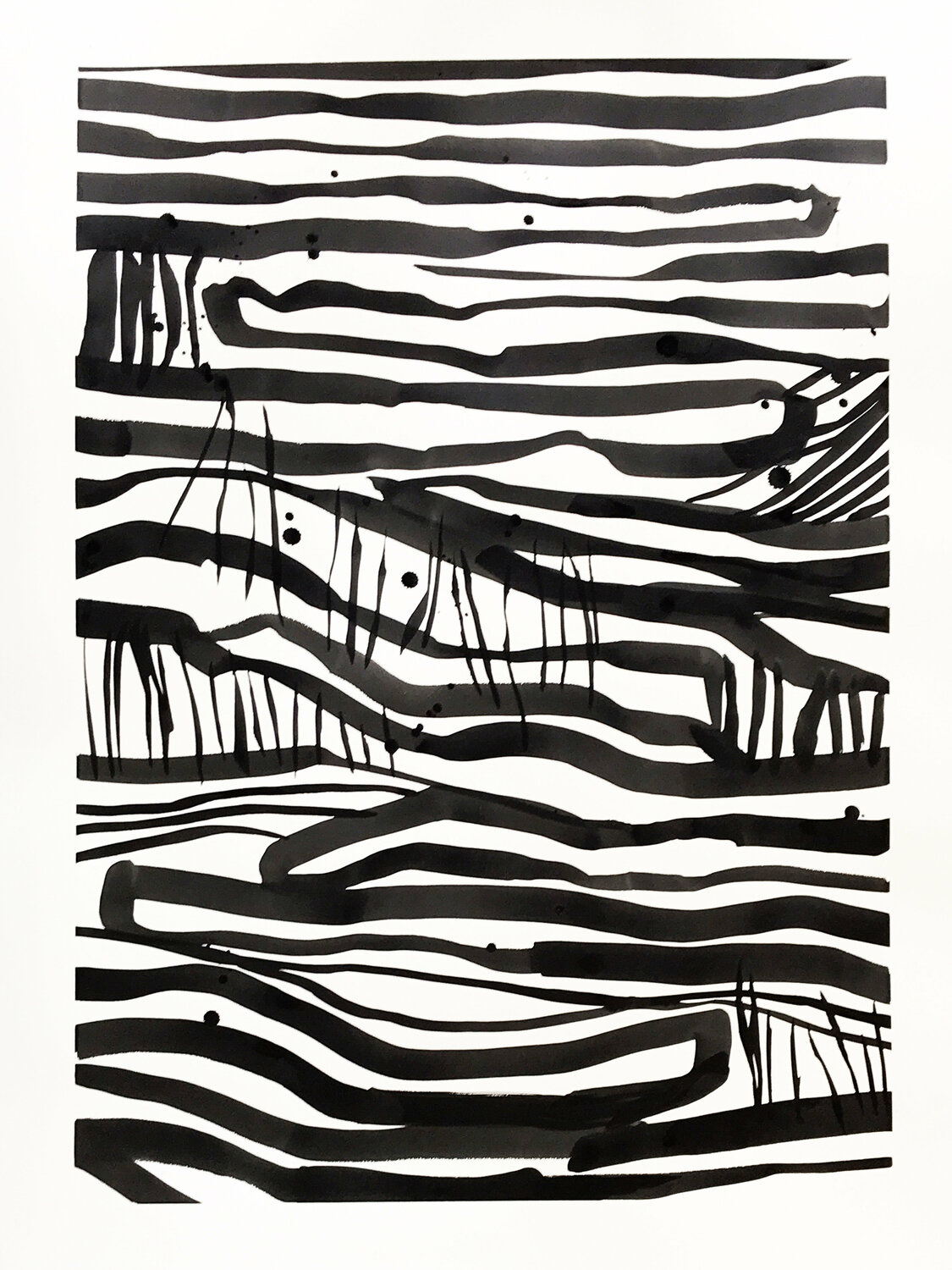 Tide Web Michela Sorrentino