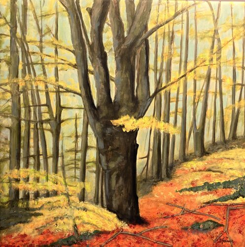 Alte Buche im Herbstlicht by Ilse Feiner, 油畫 for Sale on Singulart