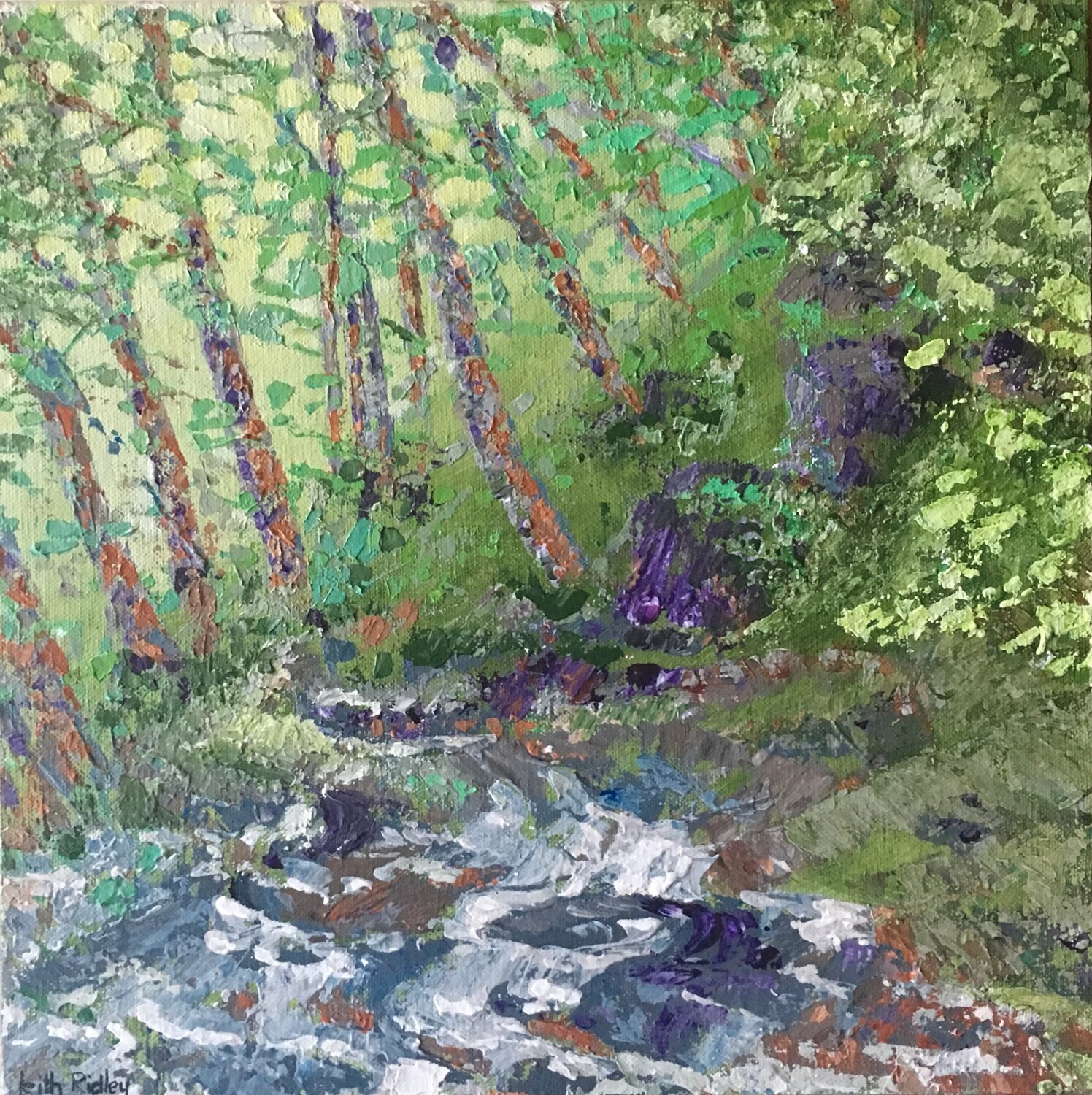 on Vitosha mountain Leith Ridley Combe